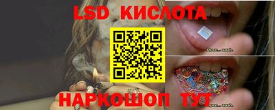 a pvp Ирбит
