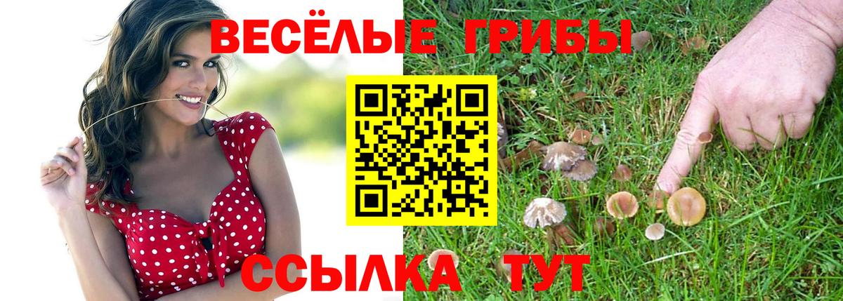 Псилоцибиновые грибы мицелий  Вход с VPN  Фролово 
